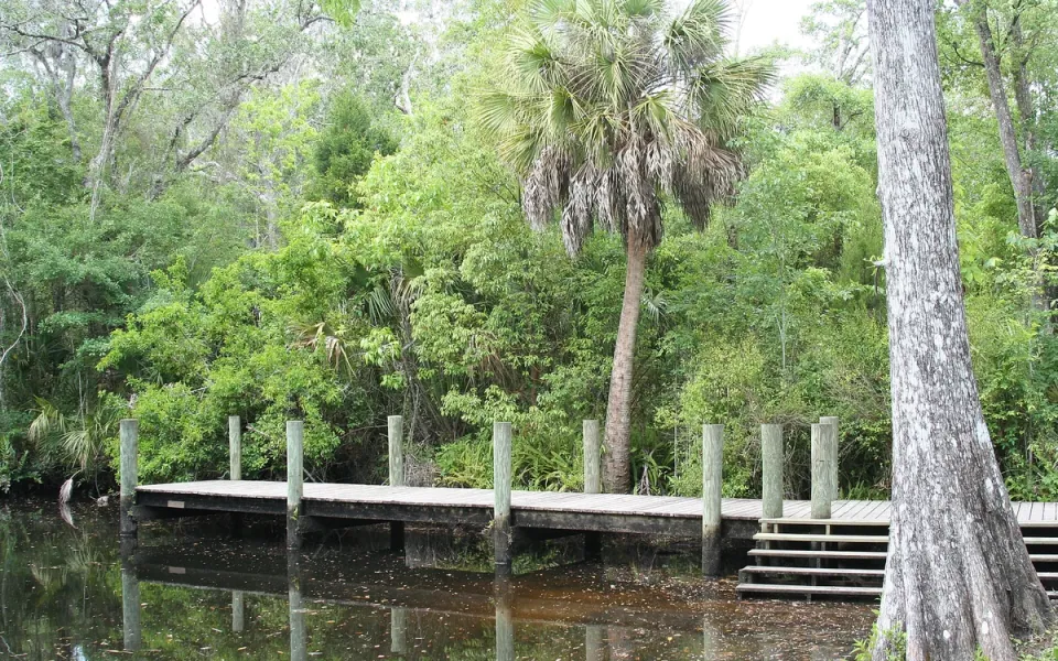 James E. Grey Preserve in Pasco County, Florida