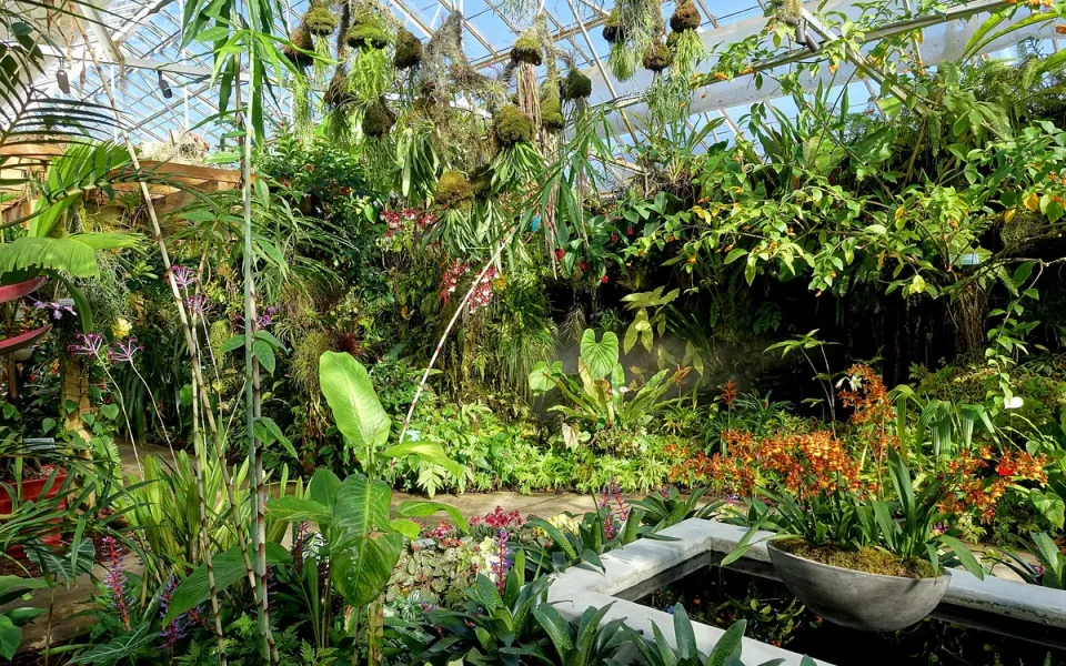 Marie Selby Botanical Gardens in Sarasota County, Florida