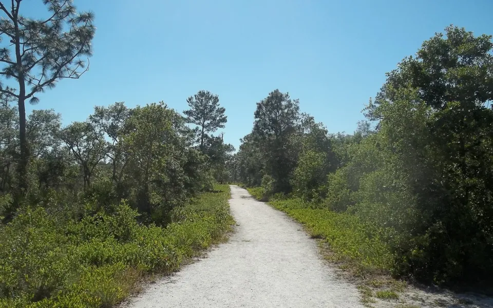 Little Big Econ State Forest in Seminole County, Florida