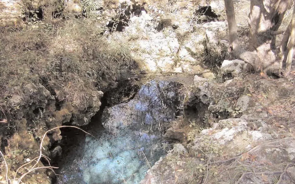 Suwannee Springs in Suwannee County, Florida