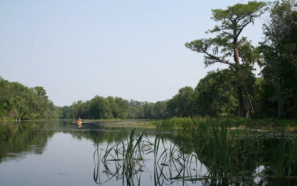 Wakulla River in Wakulla County, Florida