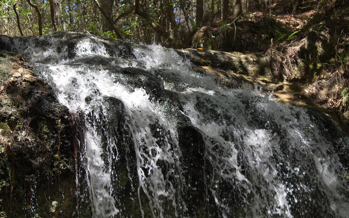 Falling Waters State Park in Washington County, Florida